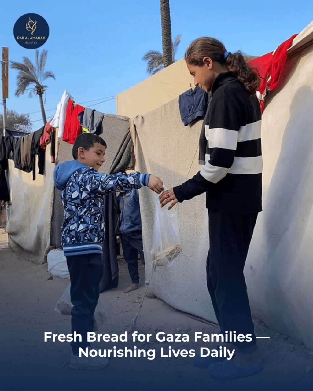 Instagram post from dar_alamanah. This post is in position 0.