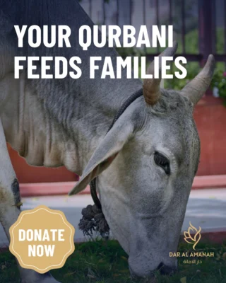 Instagram post from dar_alamanah. This post is in position 3.
