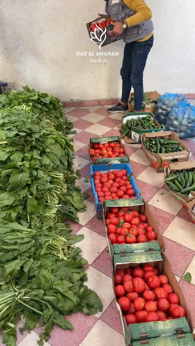 Instagram post from dar_alamanah. This post is in position 1.